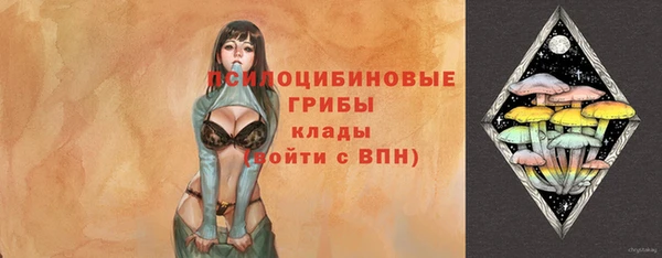 ГАЛЛЮЦИНОГЕННЫЕ ГРИБЫ Алексин