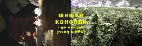 spice Абаза