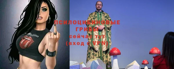 ECSTASY Алексеевка