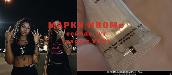 ГАЛЛЮЦИНОГЕННЫЕ ГРИБЫ Алексин