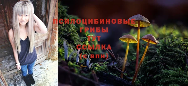 дживик Алзамай