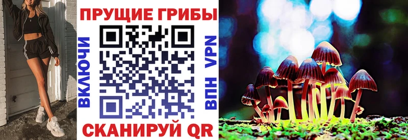 Псилоцибиновые грибы мухоморы  mega ССЫЛКА  Грязи 