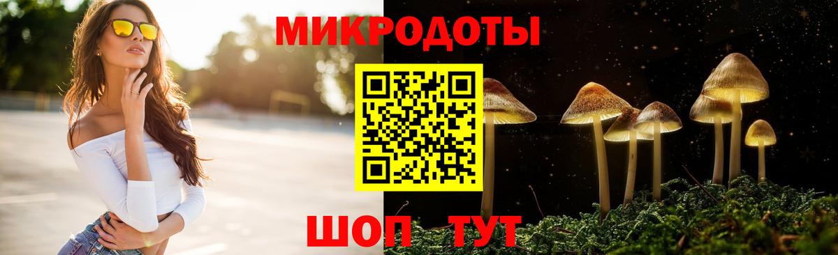 Галлюциногенные грибы Cubensis Грязи